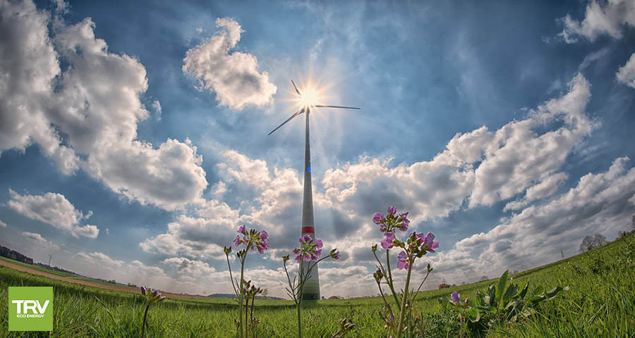 En Argentina, las energías renovables duplican su presencia en la matriz energética.
