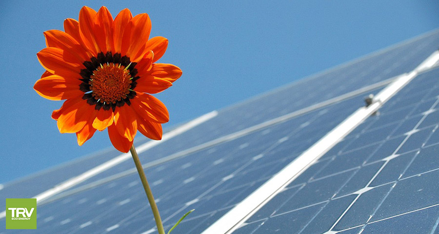 Según un informe, la energía solar será la más beneficiada durante los próximos años.