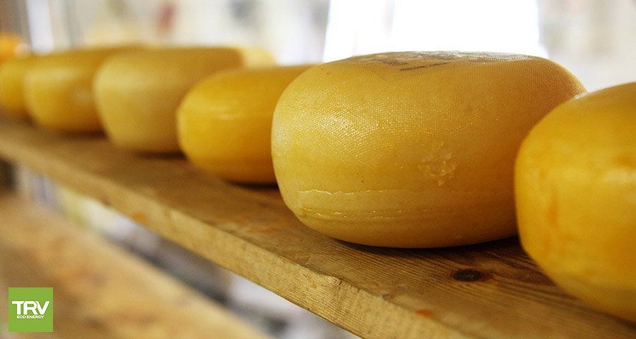 Científicos afirman que puede obtenerse biocombustible a partir de los desechos del queso.